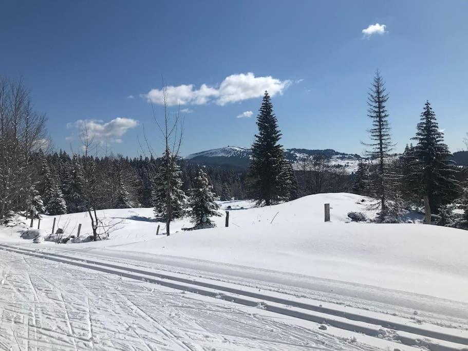 Chaleureux Au Depart Des Sentiers Et Pistes De