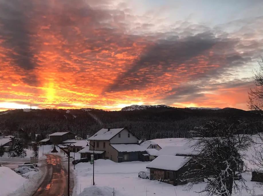 Appartement Chaleureux Au Depart Des Sentiers Et Pistes De Lajoux