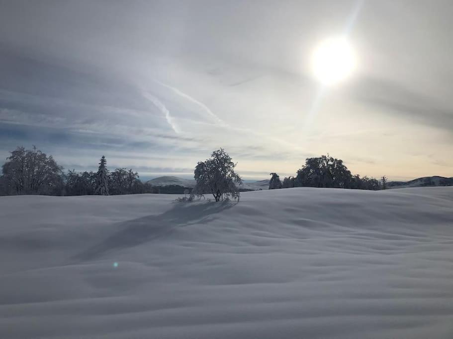 Chaleureux Au Depart Des Sentiers Et Pistes De Lajoux