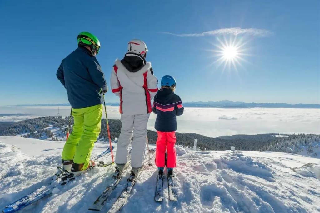 Chaleureux Au Depart Des Sentiers Et Pistes De