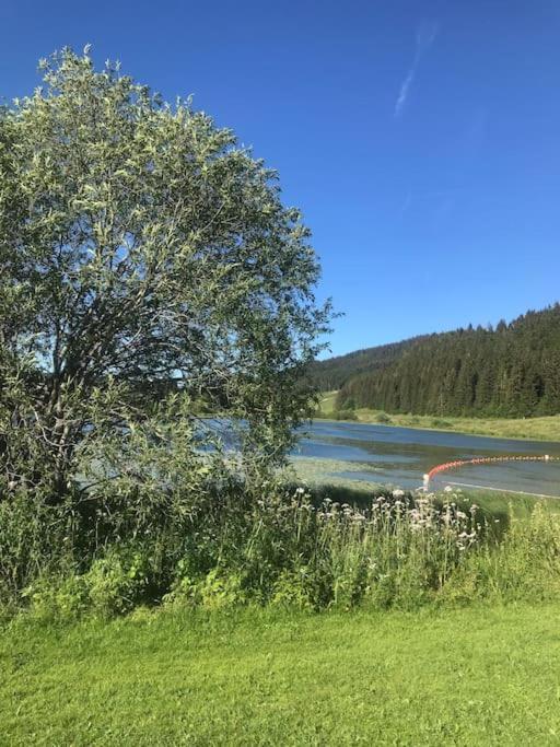 Chaleureux Au Depart Des Sentiers Et Pistes De Appartement Lajoux