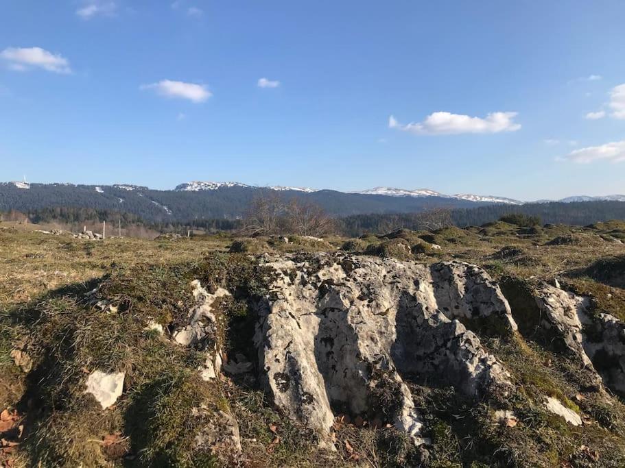 Chaleureux Au Depart Des Sentiers Et Pistes De *
