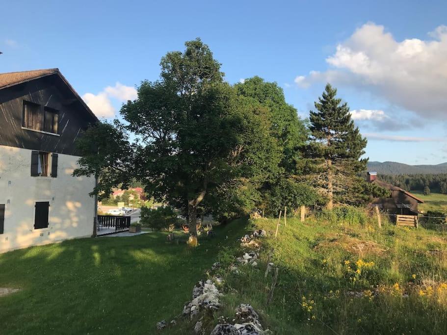 Chaleureux Au Depart Des Sentiers Et Pistes De